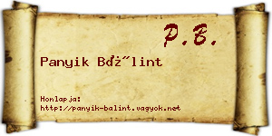Panyik Bálint névjegykártya