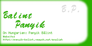 balint panyik business card